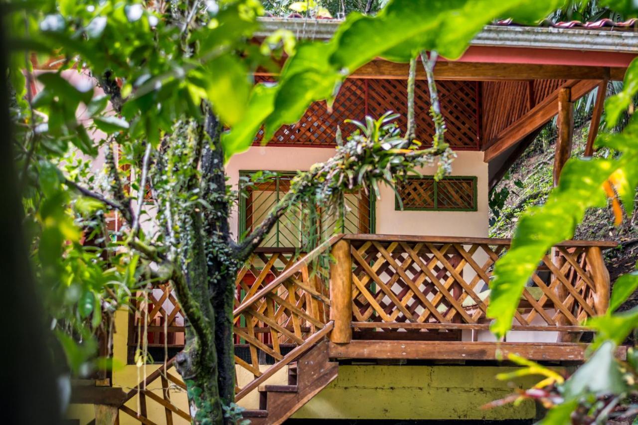 Sea Tower Hotel Puerto Viejo de Talamanca Kültér fotó